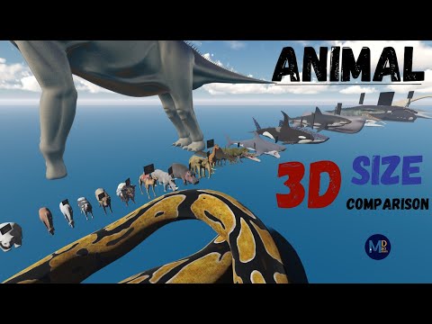 Animal Size Comparison (Smallest to Monster Animals) 🐘 🦁🐅