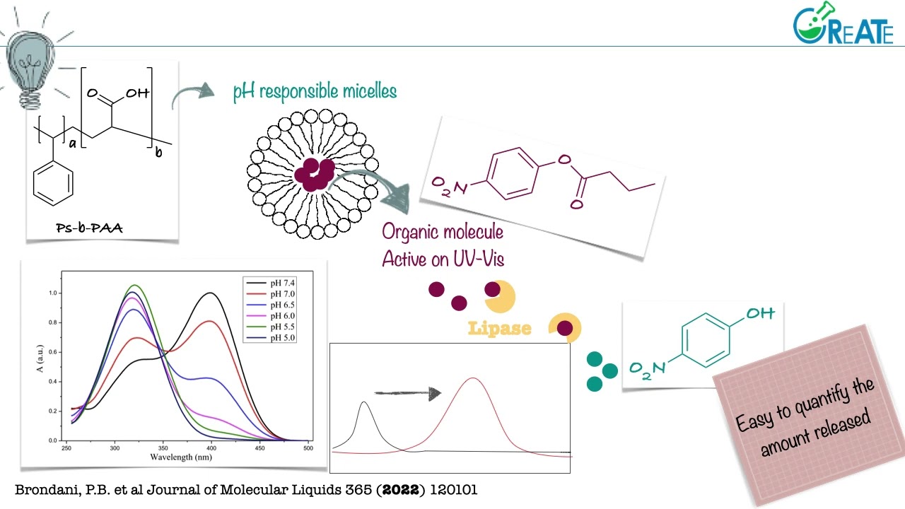Sistemas biomiméticos de Nocicepção: Desenvolvimento de fármacos contra dor