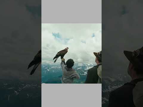 El Niño Salvó a un Águila y Años Después Ocurrió Algo Increíble 🦅❤️