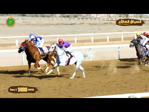 الشوط الثالث - السباق العاشر - الرحبة 12/01/2019 Race 3-10th meeting