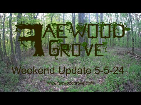 Faewood Grove Weekend Update 5-5-2024