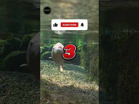 #shorts أجمل مزراب مياه 💧🏺✨