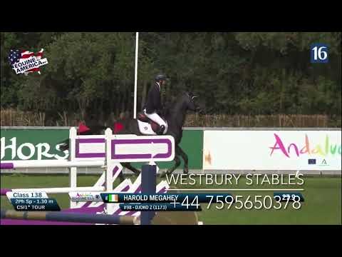 Djoko Z- 2016 Stallion (Dominator Z X Darco)