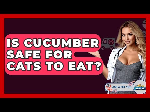 Is Cucumber Safe For Cats To Eat? - Ask A Pet Vet