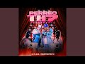 PERREO TH 7
