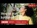How Much Water Should I Drink A Day The Food Chain Podcast BBC World Service