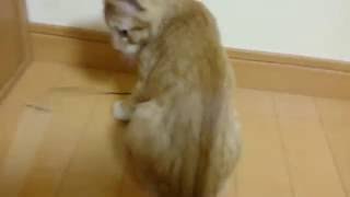 鈴とユウスケ