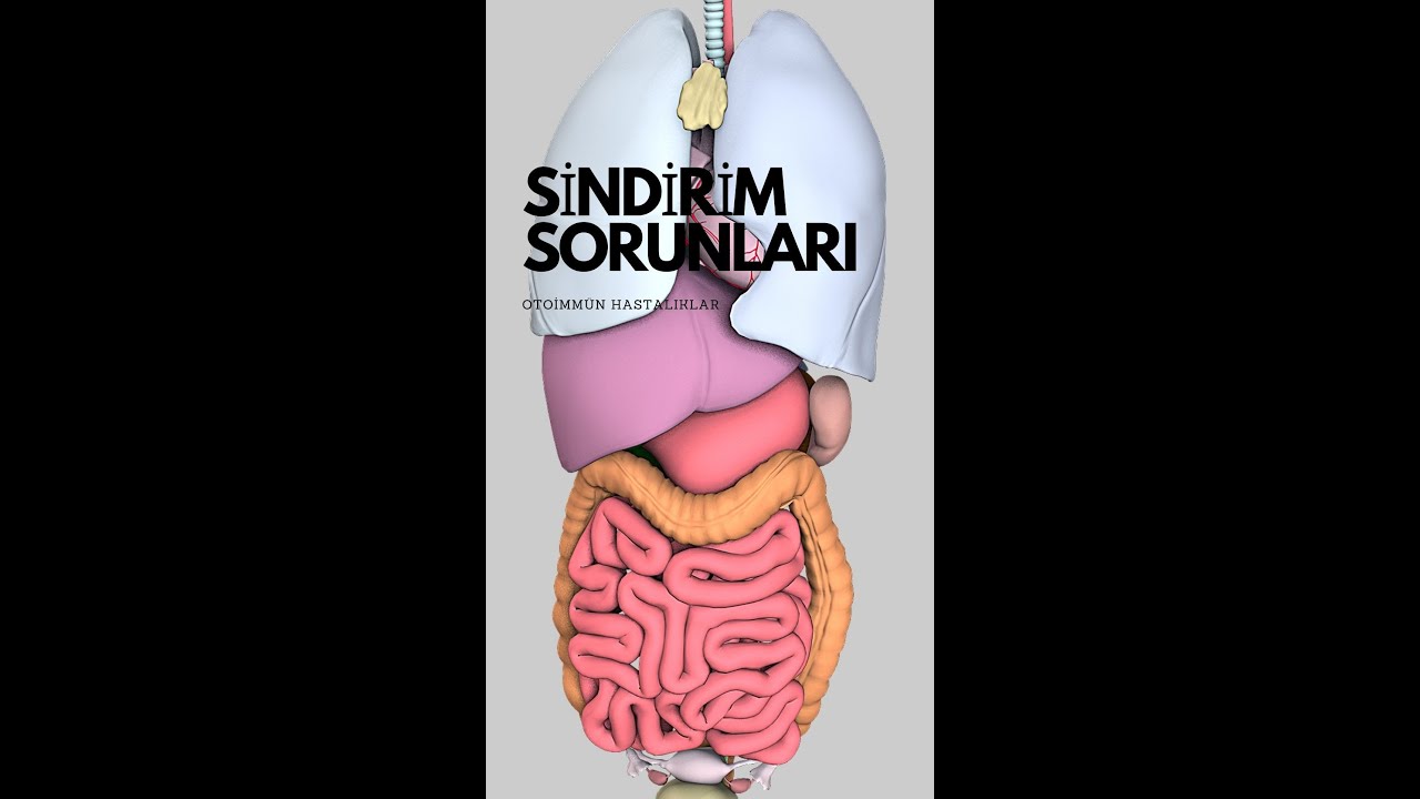 Yağmur Yaşar Uğur-2