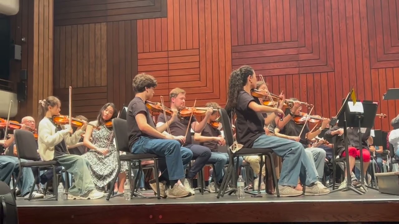 Promotional video thumbnail 5 for Mana Violin — Weddings & Events