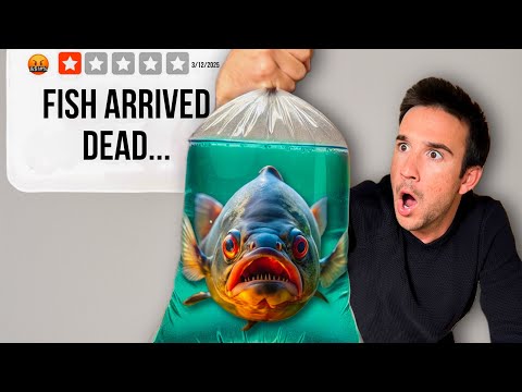 I Bought Live Fish From a 1-Star Website... Shocking Results