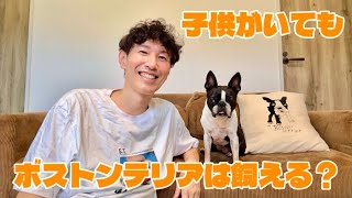 ボストンテリアは子育て家庭に向いてる?実際に飼って感じたこと