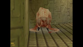 encontrei o "Mr Friendly" no Half Life Absolute Zero