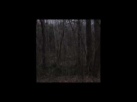 [FREE] EKKSTACY x Alex G x Trippie Redd | sad indie folk acoustic Type Beat "Bright" @prodmiercoles