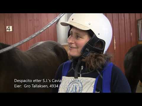 Sørlandets Travpark 13/4- 2019  Til Start for åringer.