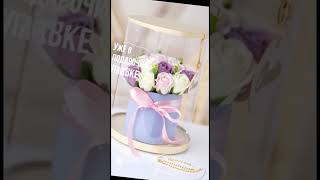 Download lagu WB: 177886359 mp3