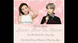Download lagu Xiao PanPan & Xiao Fengfeng-Learn to Meow Color Coded Lyrics (Chinese (Mandarin)|Rom|Eng Lyrics) mp3