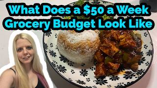 $53 Grocery Haul for 3 Adults • Realistic Budget Cooking • Dinner Ideas