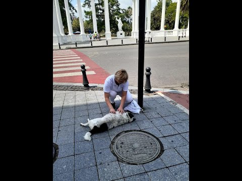 ინვეტ ჯგუფის შეხვედრა "კუპატასთან"