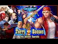 TAS SVC CHAOS SNK VS CAPCOM TERRY VS BOSSES