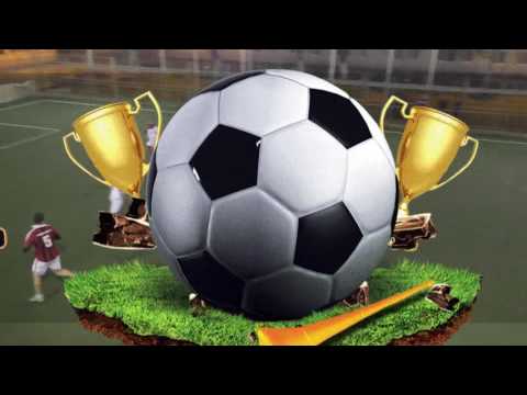 CMFB: Phoenix Bucuresti - D'Angelo Sport