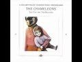 The Chameleons - Nathan's Phase