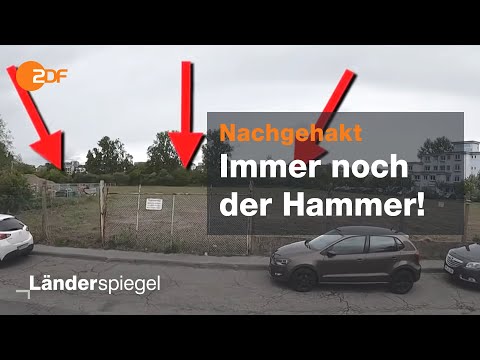 What became of old Hammer cases - Hammer of the Week from January 11, 2020 | ZDF