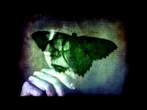 Swallow The Sun- Plague Of Butterflies Part 1 /I. Losing The Sunsets