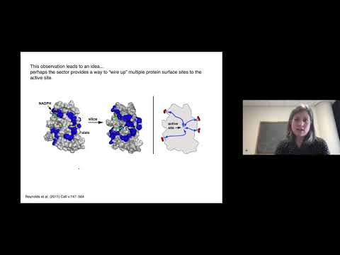 Dr. Kimberly Reynolds (Mutational Scanning Symposium 2021)