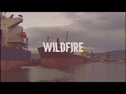 Wildfire (Feat. Shubh Saran)- Lyric Video