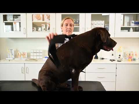 KRUUSE Rehab Pro Elbow Protector