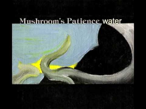 Mushroom's Patience - Untitled #3 (album: Water 2005)