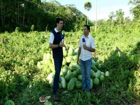 Zona de Desenvolvimento Setor Primário Manicoré Parte I