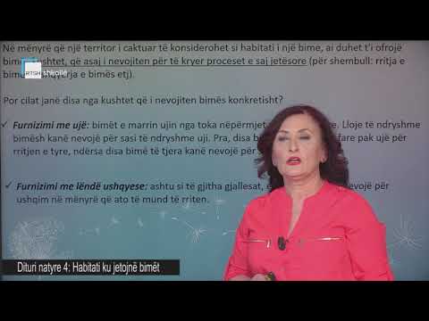 Dituri natyre 4 - Habitati ku jetojnë bimët