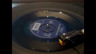 The Flies I'm Not Your Stepping Stone.