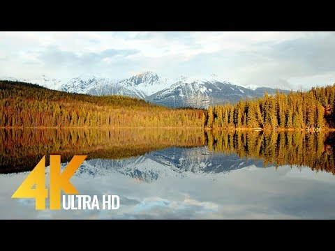 Winter Beauty of Canadian Nature in 4K UHD - Short Preview