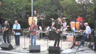 Salute to the Music of Bob Dylan  /  Quinn The Eskimo