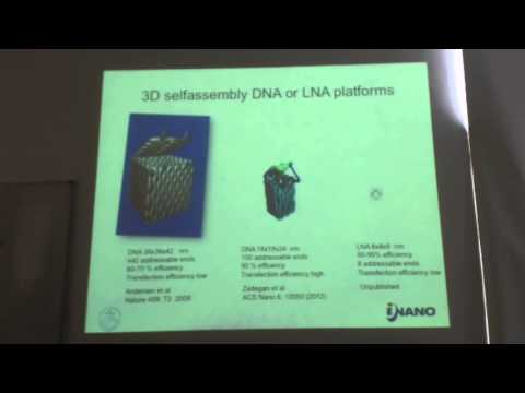 IMBB Seminar - Jorgen Kjems - March 14, 2014