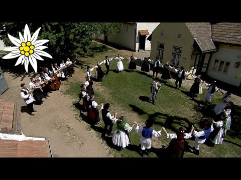 Cheerful folklore ensemble will make you want to join in the fun in a heartbeat!