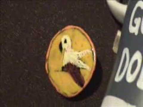 download lagu mp3 mp4 Jamaican Blue Mountain Coffee Toronto, download lagu Jamaican Blue Mountain Coffee Toronto gratis, unduh video klip Jamaican Blue Mountain Coffee Toronto