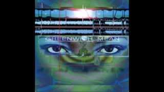 Wayne Krantz - Spektor