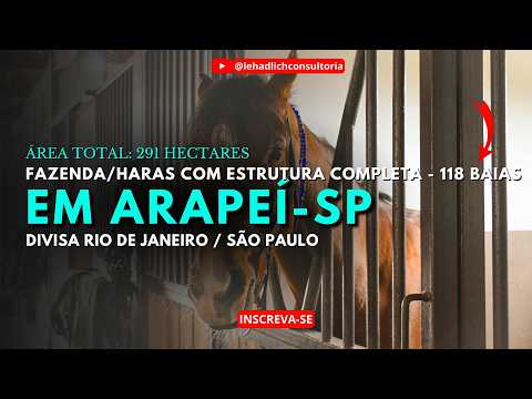 🏰Fazenda HARAS CENTENÁRIO em ARAPEÍ SP | 📍 Divisa Rio de Janeiro / São Paulo