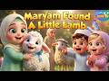 Maryam Found A Little Lamb Islamic Version Of Mary Had A Little Lamb Muslim Kids Nursery Rhyme