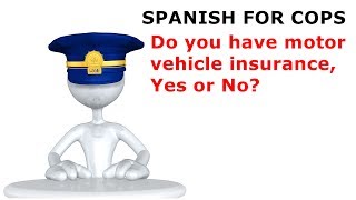 How do you say "Do you have motor vehicle insurance?" in Spanish