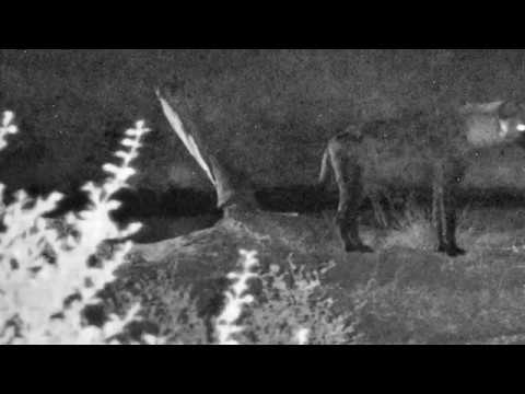 Djuma dam cam march 18 2018 -  hyena wooping