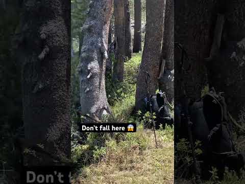 Water is up to his hips! 😱