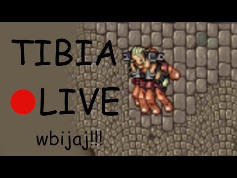 TIBIA  expy - 170+ EK, ZAPRASZAM!!