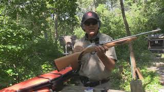 Ruger 75th Anniversary 10/22 Sporter with Skinner Red Dot