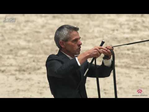 N 47 ZMERO STAR   Paris 2019   Junior Fillies Class 2B