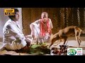 நாயை ஏன் நீங்க கவனிக்கல தொரத்தல Goundamani Pra
