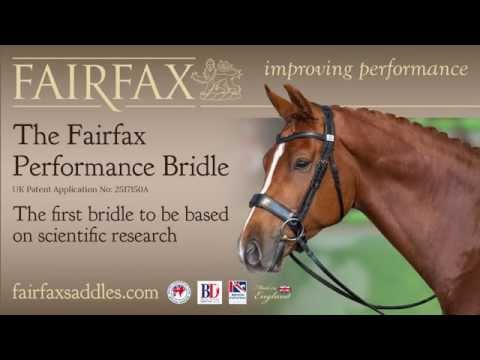 download lagu mp3 mp4 Fairfax Performance Bridle, download lagu Fairfax Performance Bridle gratis, unduh video klip Fairfax Performance Bridle